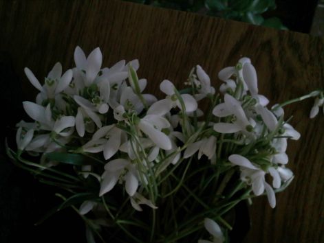 img078.jpg